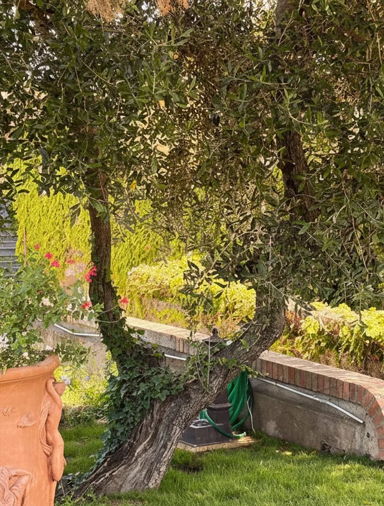 Casa Fiori Toscana, 