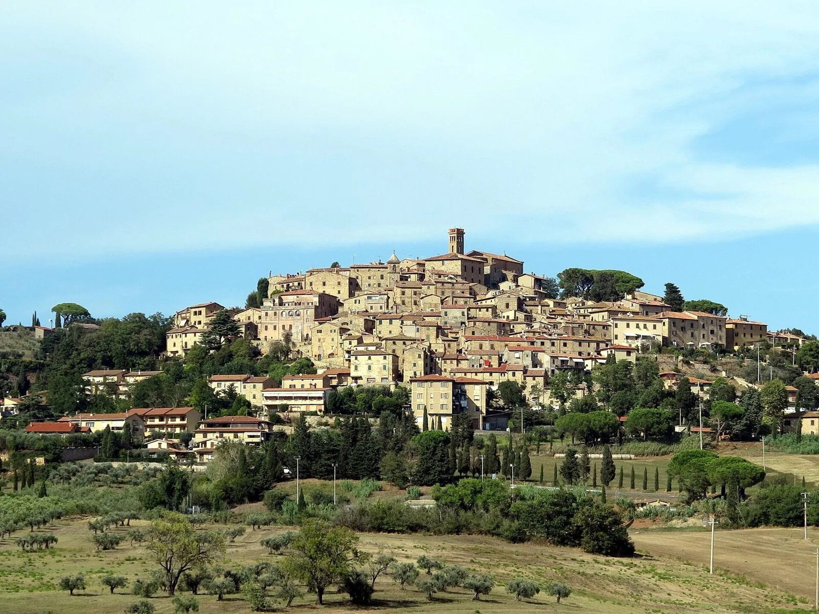 Il borgo di Casale Marittimo sulla sommità della collina, con le case in pietra raccolte attorno alla torre campanaria e gli ulivi in primo piano