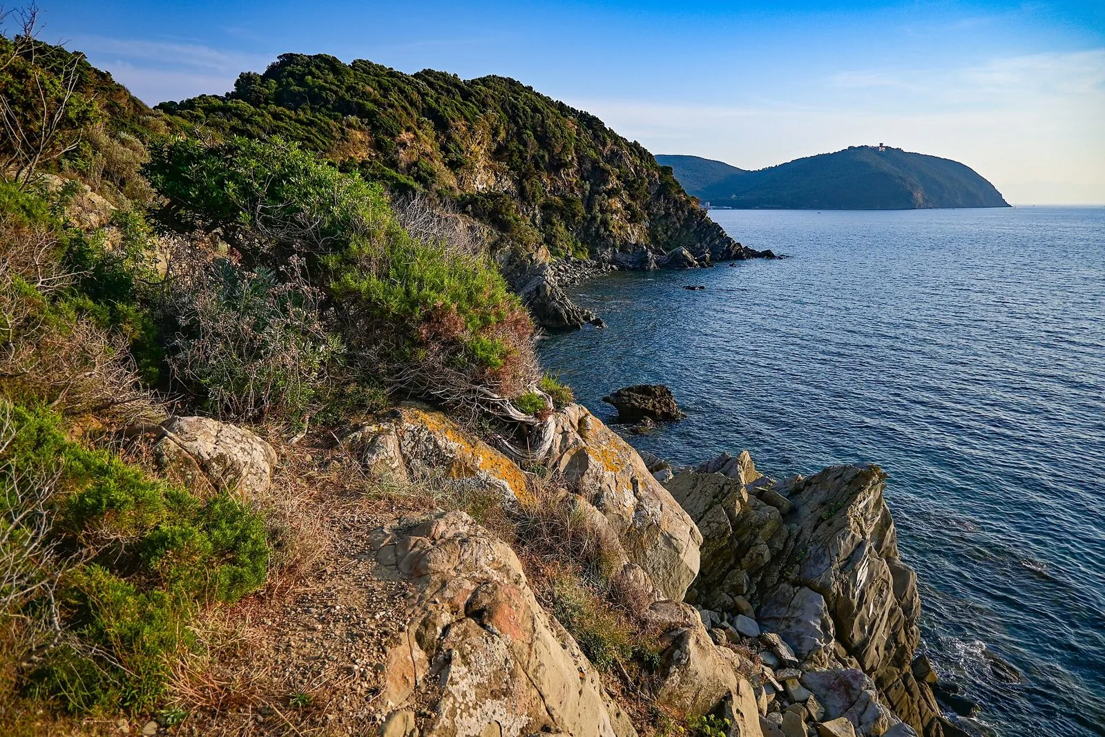 Scogliera con macchia mediterranea sulla Costa degli Etruschi tra Baratti e Piombino, con il mare calmo e un promontorio boscoso sullo sfondo